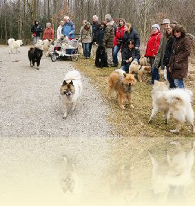 Spaziergang in Aubing am 3. Maerz 2012